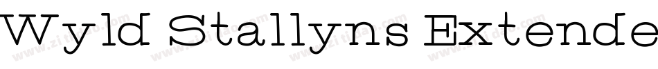 Wyld Stallyns Extended字体转换